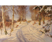 Forest at Wintertime - (SOLD)